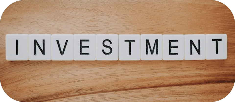 보험이 죽은 자산이라고? 당신만 몰랐던 보험 투자 시장